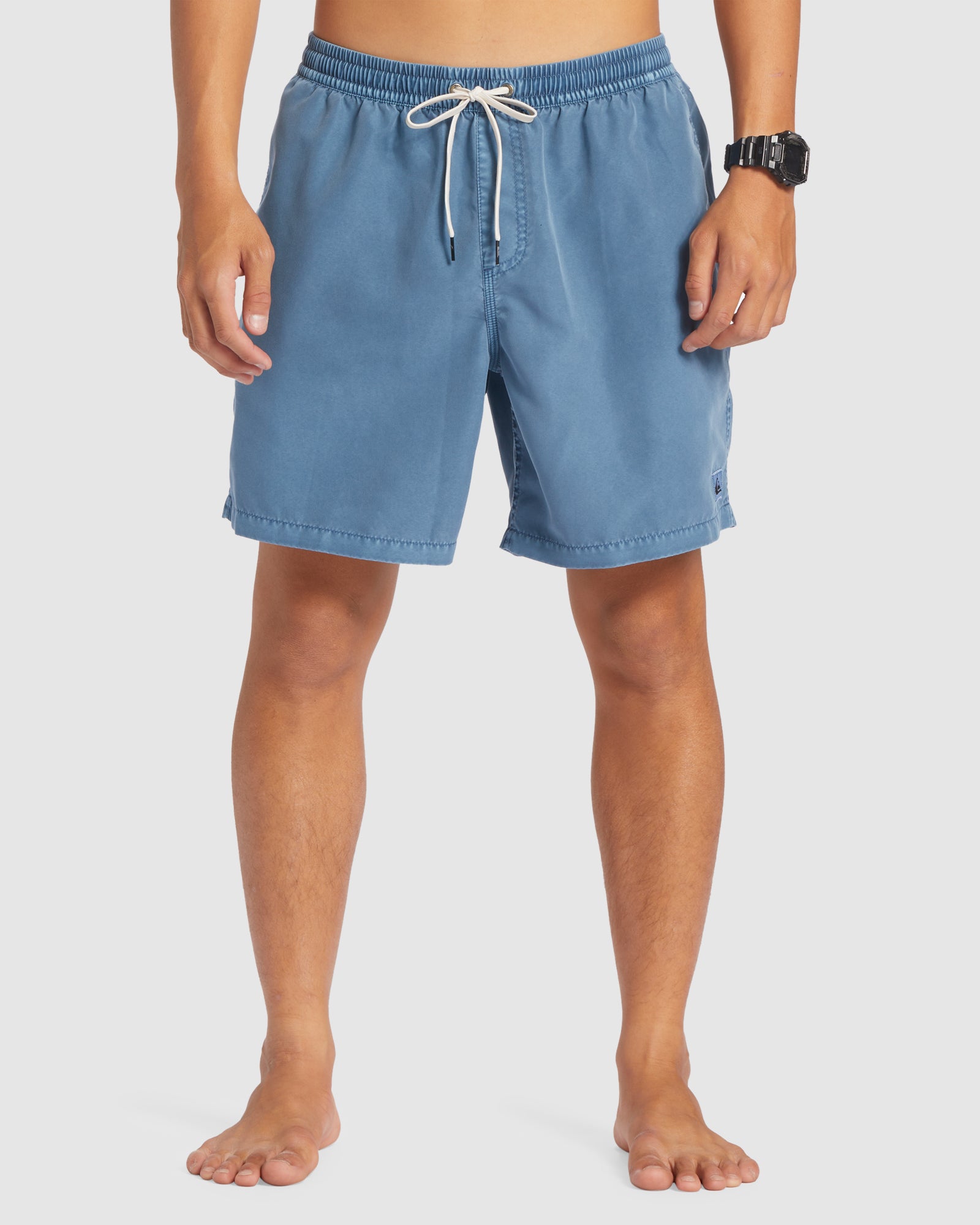 QUIKSILVER Mens Everyday Surfwash 17" Swim Shorts