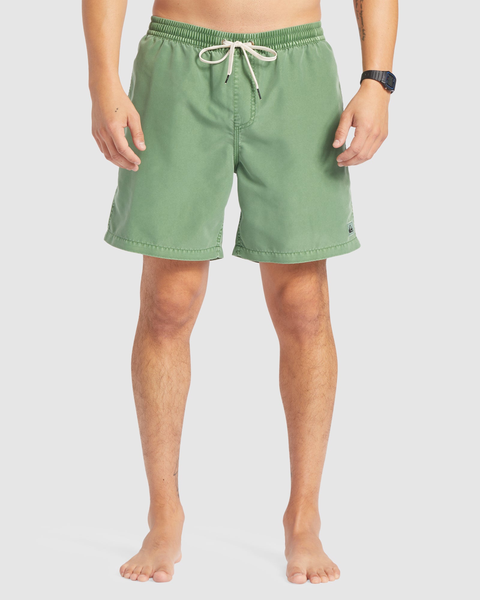 QUIKSILVER Mens Everyday Surfwash 17" Swim Shorts