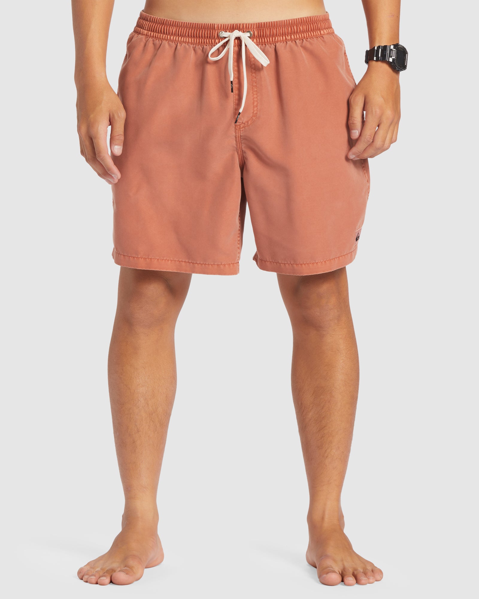 QUIKSILVER Mens Everyday Surfwash 17" Swim Shorts