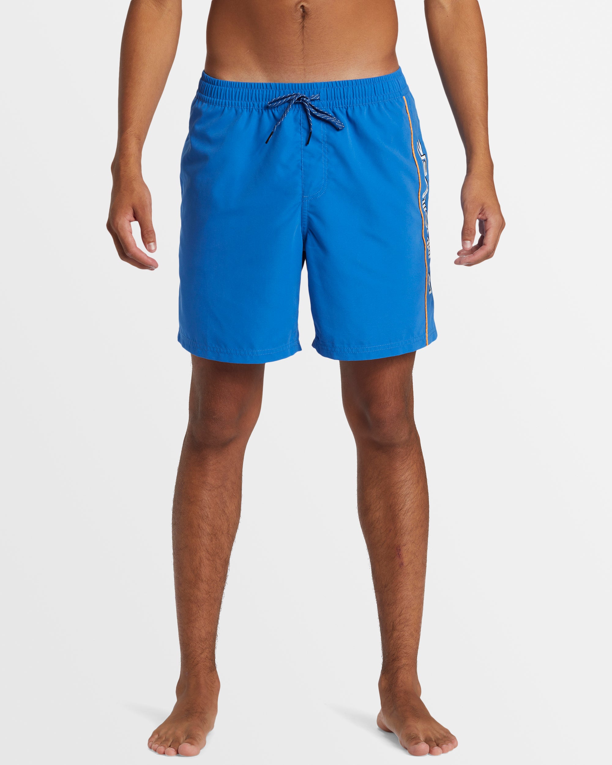 QUIKSILVER Mens Everyday Vert Volley 17" Boardshorts