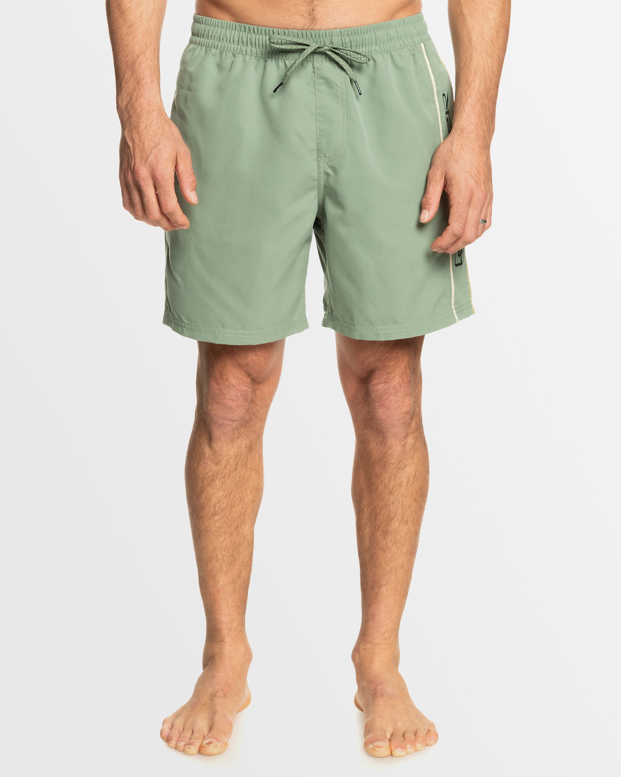 QUIKSILVER Mens Everyday Vert Volley 17" Swim Shorts