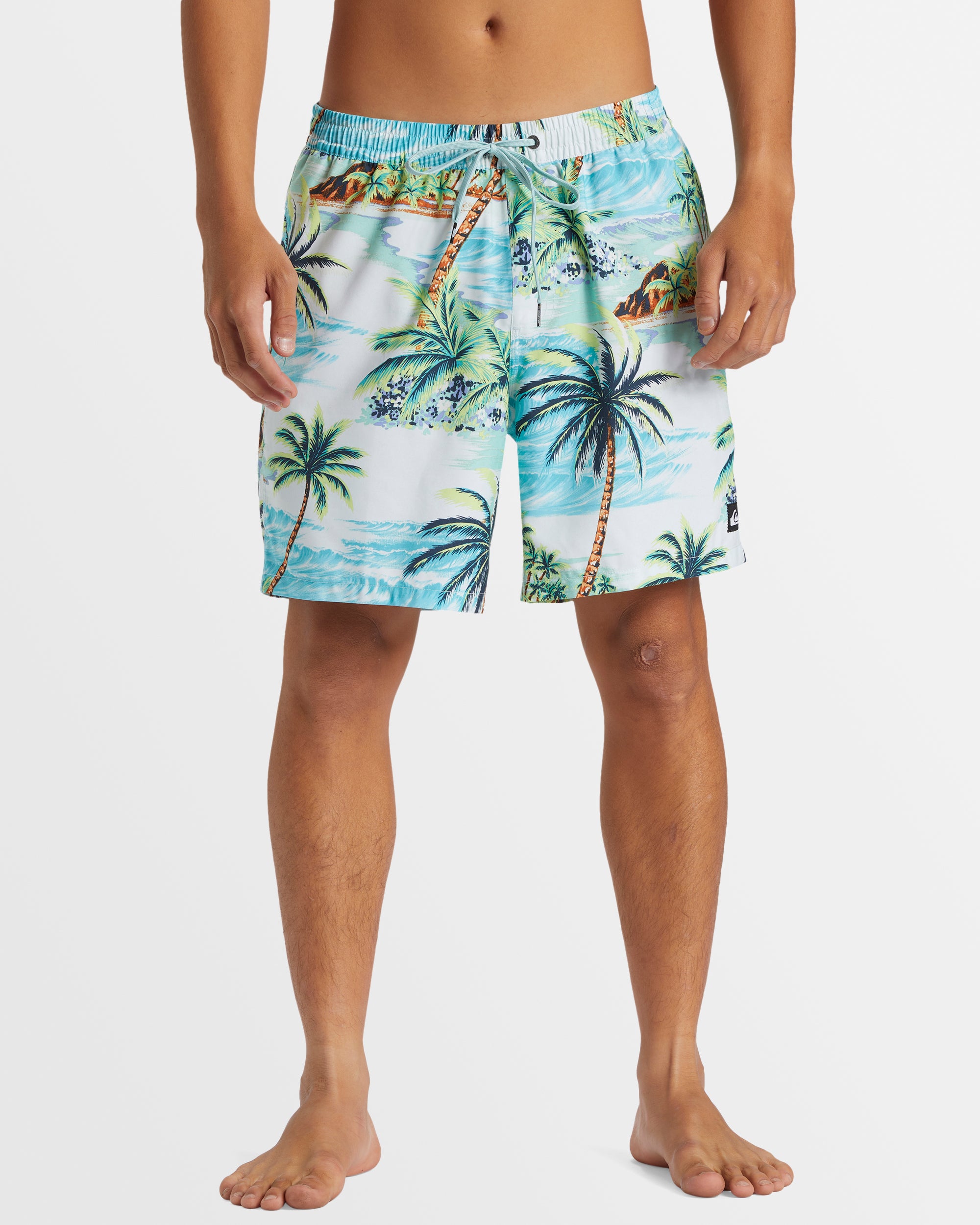 QUIKSILVER Mens Everyday Mix 17" Boardshorts