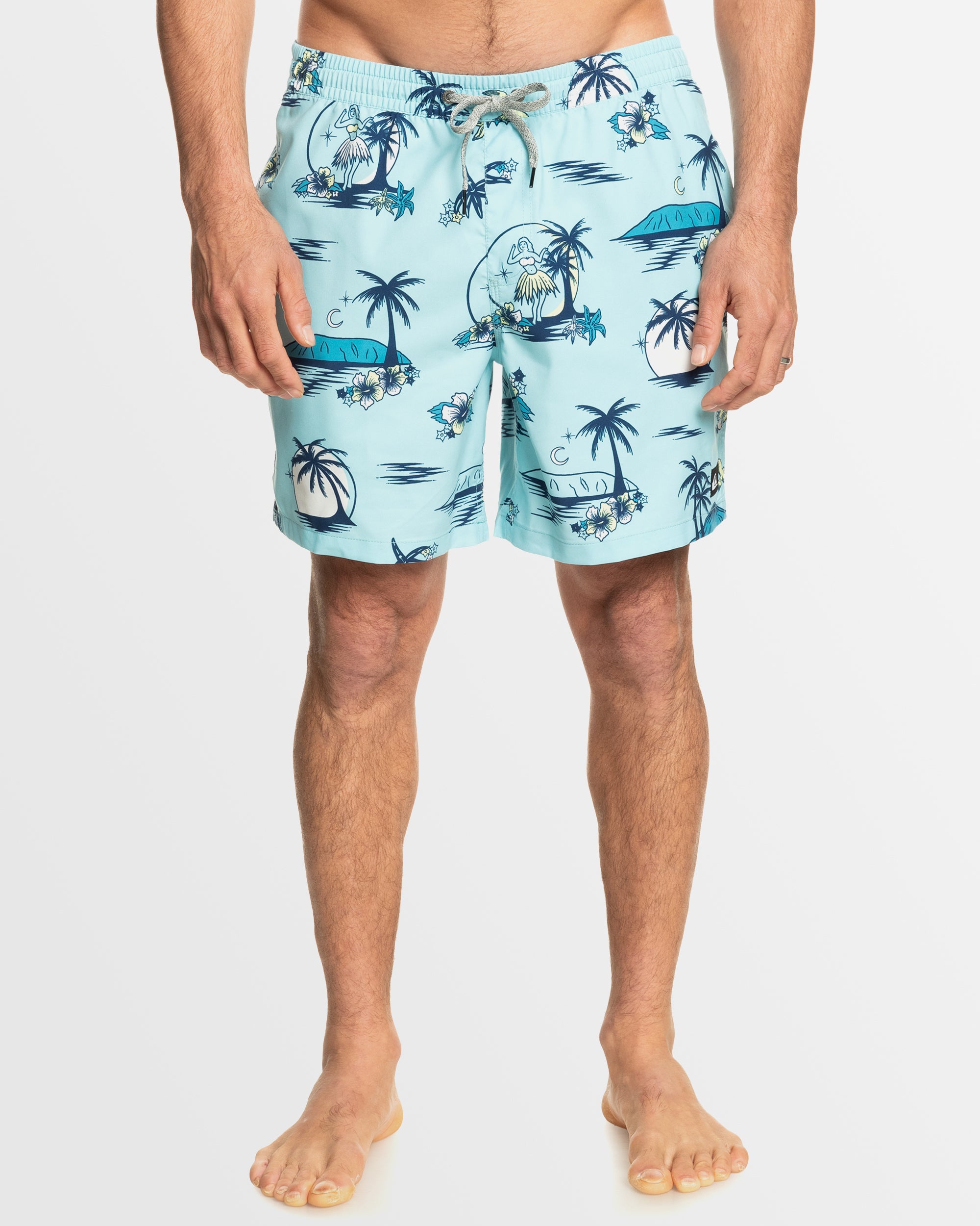 QUIKSILVER Mens Everyday Mix 17" Swim Shorts