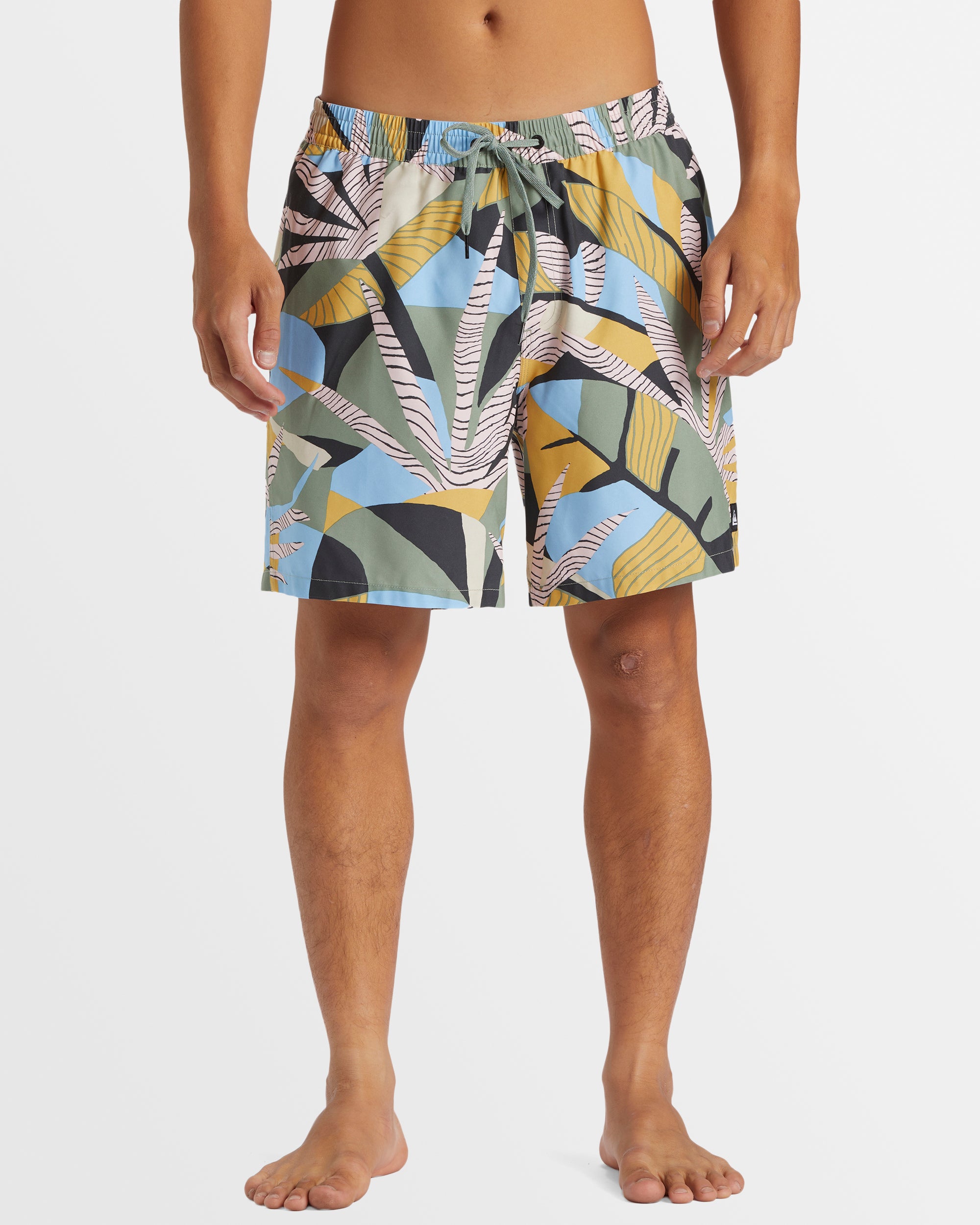 QUIKSILVER Mens Everyday Mix 17" Boardshorts