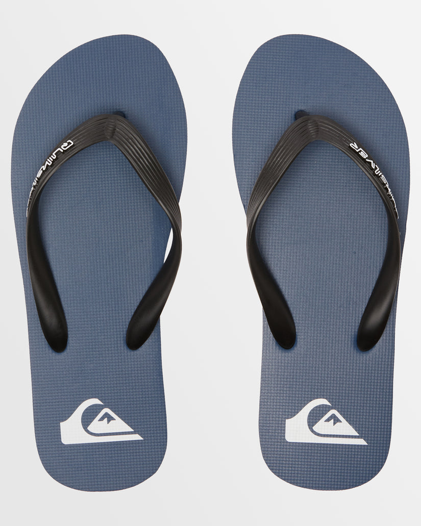 Mens Molokai Core Flip-Flops