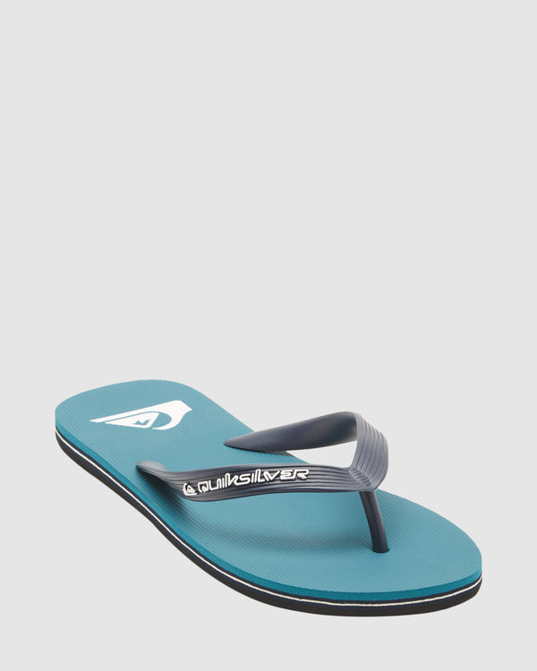 Mens Molokai Core Flip-Flops