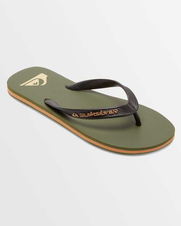 Mens Molokai Core Flip-Flops