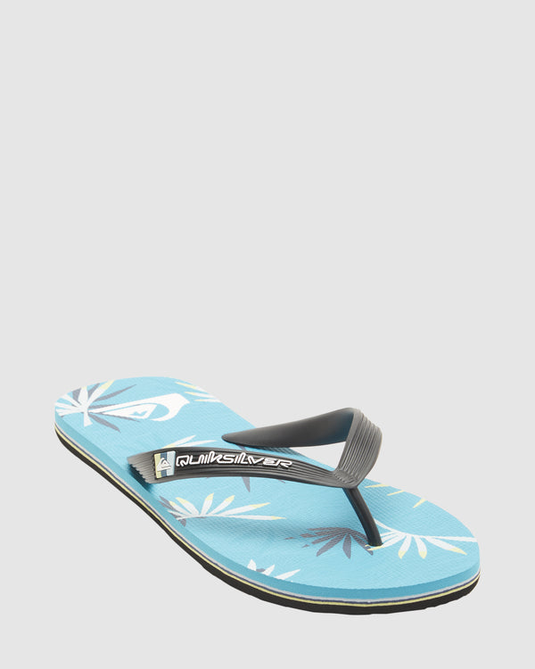 Mens Molokai Art Beach Flip-Flops