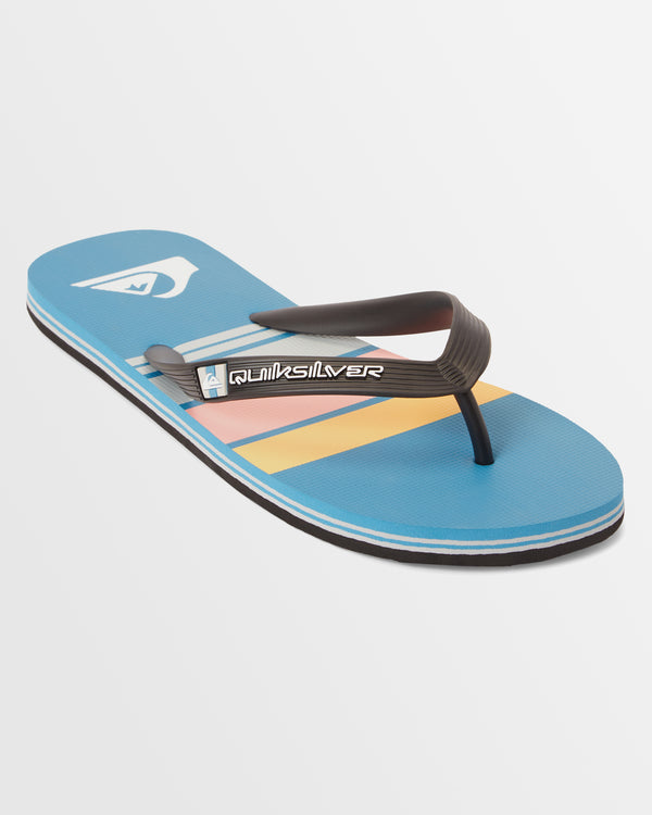 Mens Molokai Stripe Beach Flip-Flops