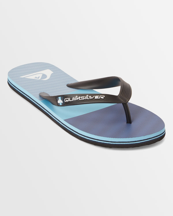 Mens Molokai Stripe Beach Flip-Flops