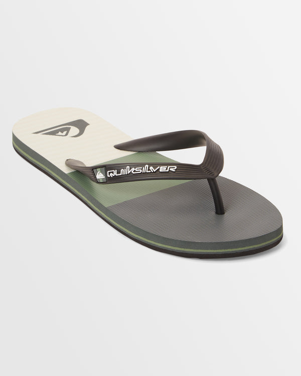 Mens Molokai Stripe Beach Flip-Flops