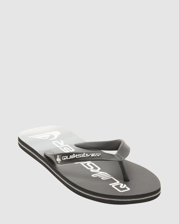 Mens Molokai Stripe Beach Flip-Flops