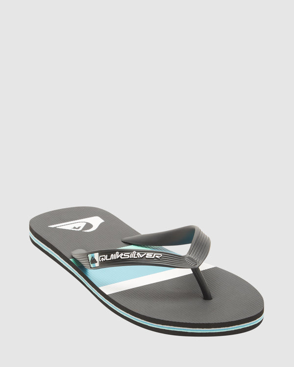 Mens Molokai Stripe Beach Flip-Flops