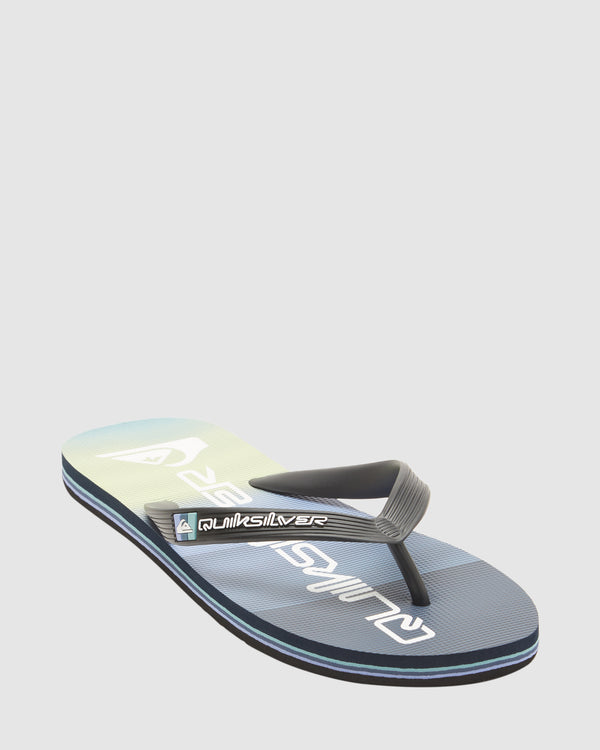 Mens Molokai Stripe Beach Flip-Flops