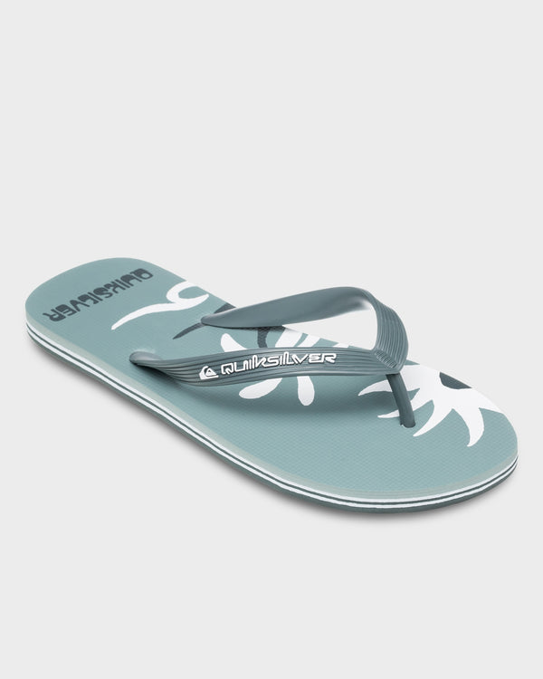 Mens Molokai Screen Thongs