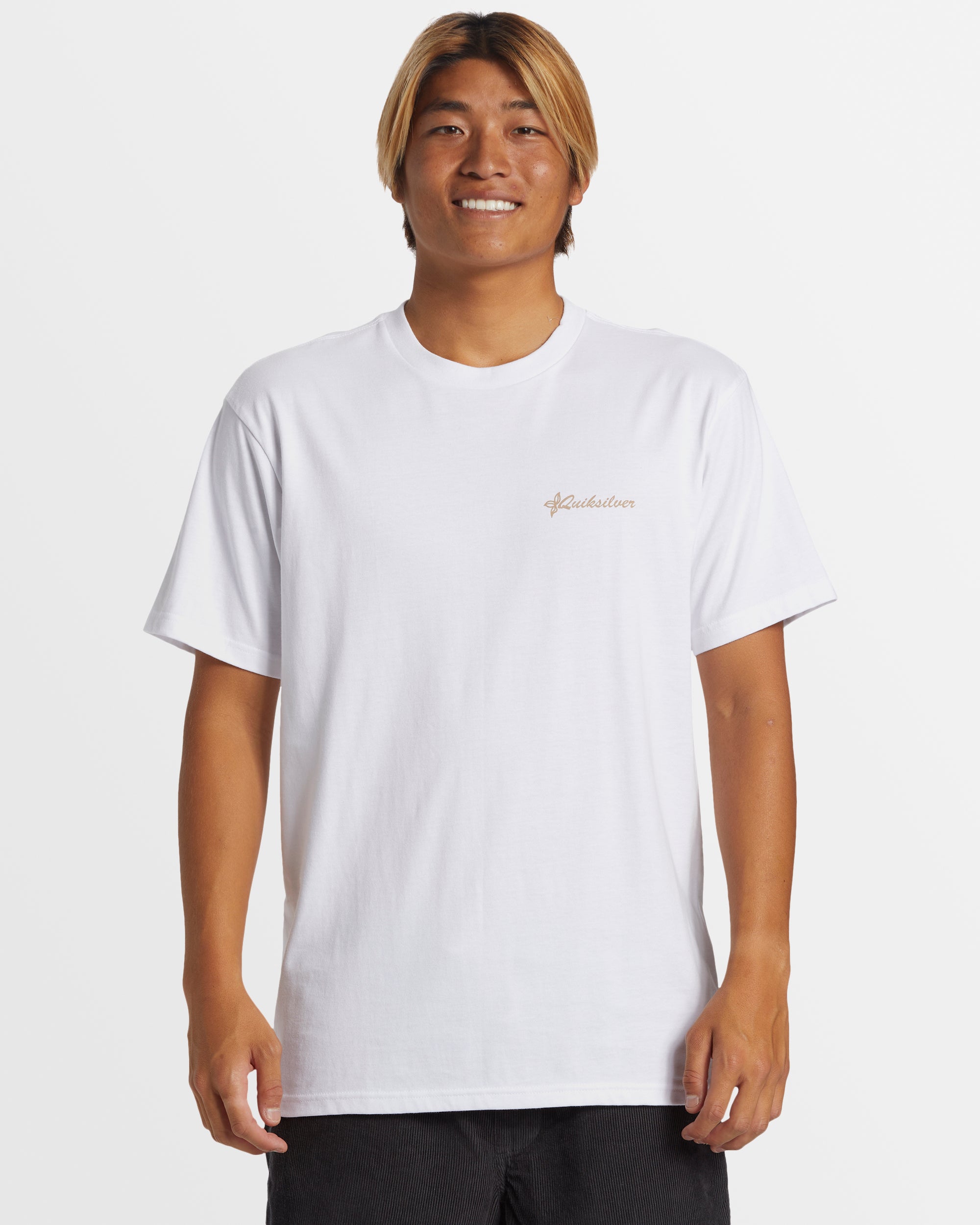 QUIKSILVER Mens Tropical Horizon T-Shirt