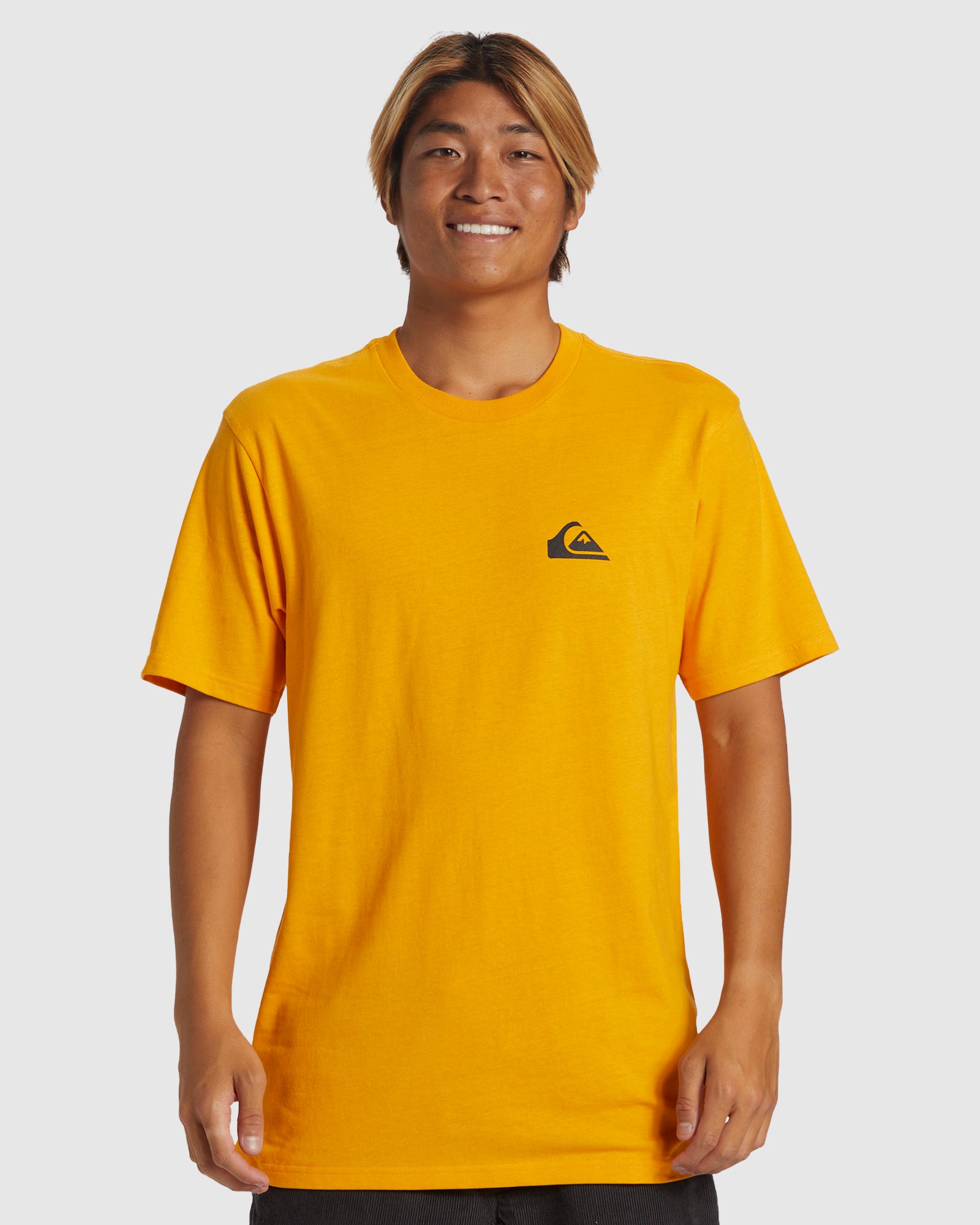 QUIKSILVER Mens Comp T-Shirt