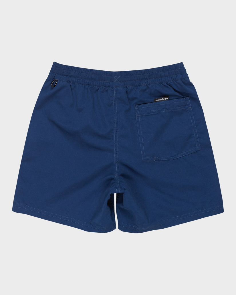 Boys 8-16 Everyday Vert 14" Swim Shorts