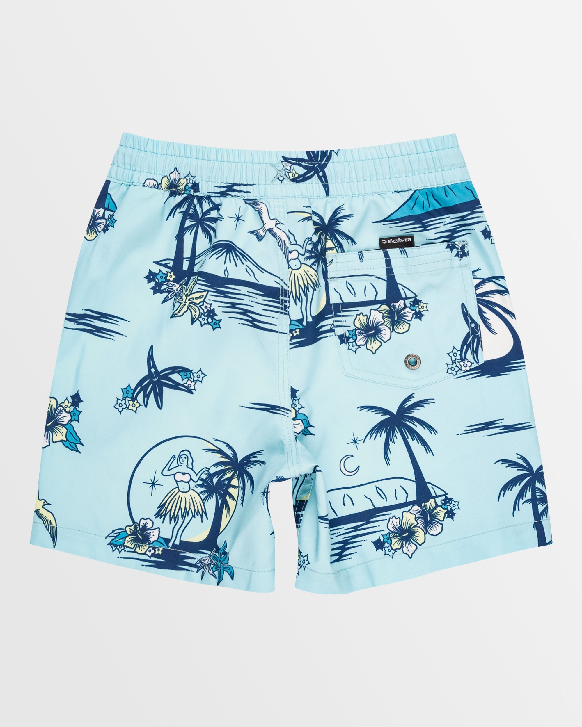 NWT boys quicksilver on sale shorts bundle