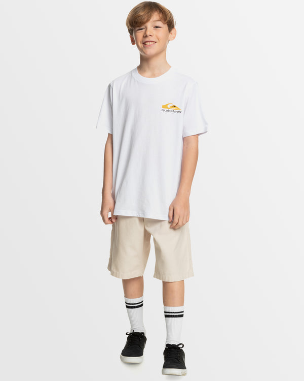 Boys 8-16 Carpenter Baggy Shorts