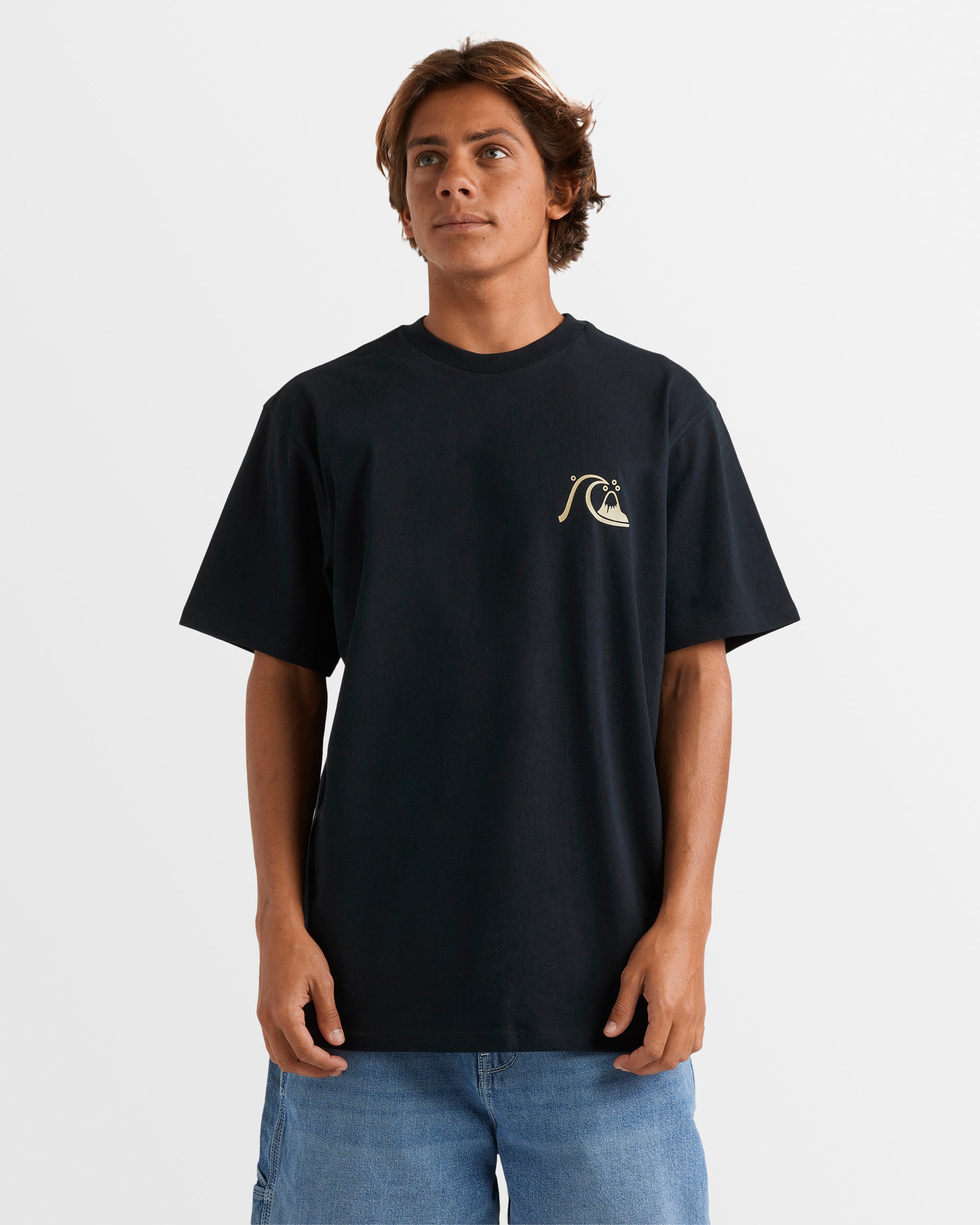 QUIKSILVER Mens Touro T-Shirt